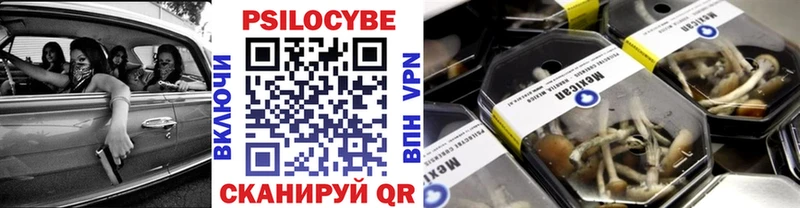 Купить Макаров Галлюциногенные грибы MAGIC MUSHROOMS