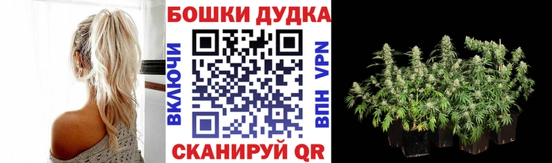 Купить  Макаров  Марихуана сатива 
